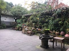 -青城甲(青城山店)