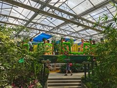 -南宫五洲植物乐园