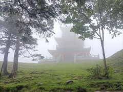 -老秃顶草原景区