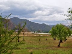 -泸沽湖国家级风景名胜区走婚桥