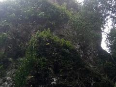 -七仙岭温泉国家森林公园