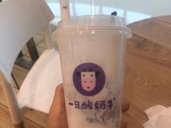 -一只酸奶牛(双流万达广场店)