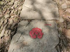 -西湖风景区十里琅珰-五云山