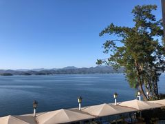 -宝荣鱼馆·临湖之宴(千岛湖店)