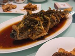 -金春禧(世茂国际广场店)