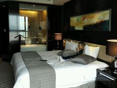 android_upload_pic-常州环球恐龙城维景国际大酒店