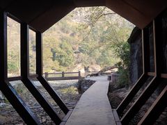 -武夷山风景名胜区-玉女峰