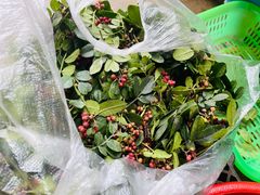-双喜农庄·菌香园(安居家园店)