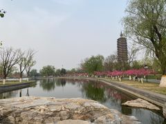 -西海子公园