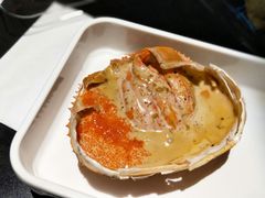 -西街夜油条·麻团包乌饭