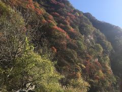 -终南山国家森林公园