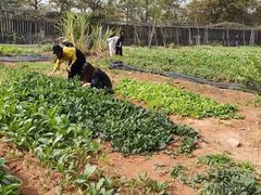 -任达丞国农庄(任达山庄店)