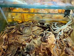 -领鲜活海鲜榴莲自助火锅(东门店)