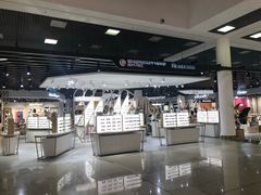 -谢列梅捷沃国际机场