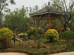 -武清南湖绿博园