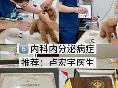 -派美特宠物医院·核磁CT·骨科肿瘤·疑难转诊(沈农禾丰店)