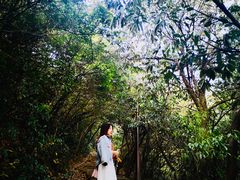 -杭州半山国家森林公园