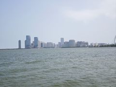 -万绿园