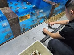 -蟹小姐节气生鲜·年货(高新店)