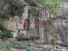 -铁山坪森林公园