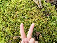 -叠溪松坪沟景区