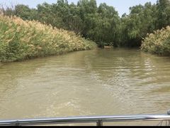 -大湾区中央湿地公园