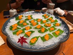 -月龍吟(朝龙汇店)