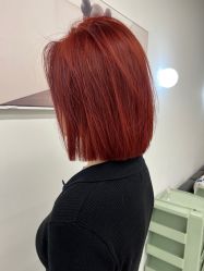 -Y-STUDIO原理