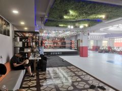 -津武堂散打搏击俱乐部(河西店)