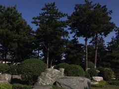 iphone_upload_pic-中国唐苑