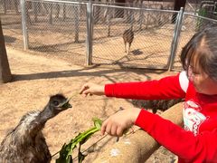 -石家庄市动物园