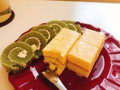 -滚猫咖啡·猫咖·猫友好撸猫(未来城店)