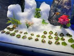 -快乐海鲜酒楼(滇池路店)