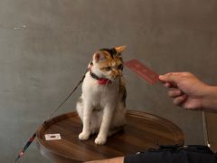 -Again Coffee Roaster(香蜜湖店)