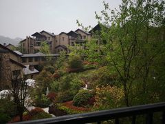 -浙江安吉JW万豪酒店·万豪中餐厅