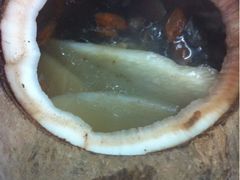 椰盅炖竹丝鸡-日添美食馆