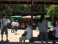 -金盆阿嬷香菇茶叶蛋(玄光店)