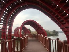 -芒洲湿地公园