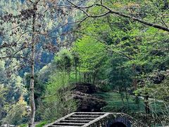-刘伯温故里景区百丈漈