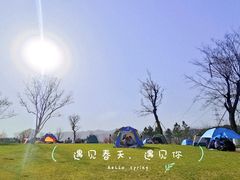 -长田漾湿地公园