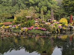 -杭州植物园