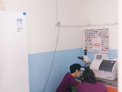 -瑞派福兴宠物医院犬猫全科·骨科·中西医结合(河东店)