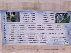 -青藏高原野生动物园