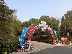 -美丽洲堂