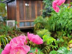 -大妙火锅·非物质文化遗产(东湖公园店)