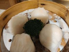 -南海渔村(珠江新城店)