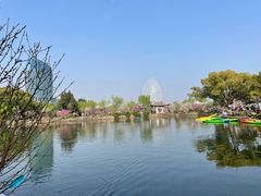 -无锡蠡湖国家湿地公园-蠡园