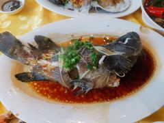 -老字号蛇口德记烧腊饭店·海鲜加工