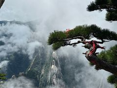 -华山风景名胜区