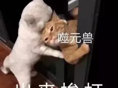 -普迪生态园